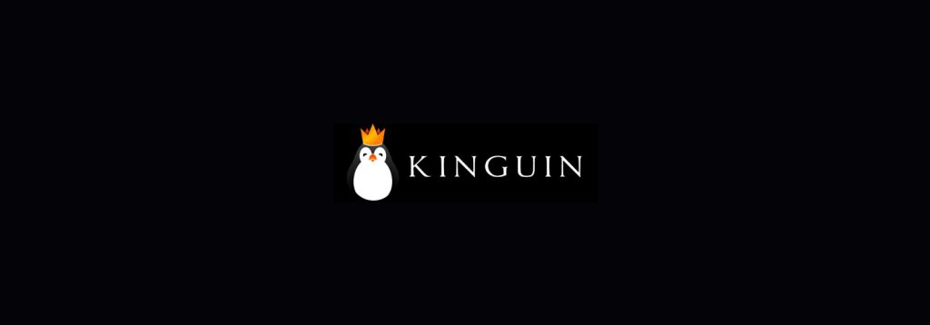 Kinguin Review 2025