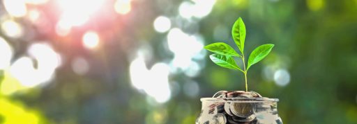 save money online