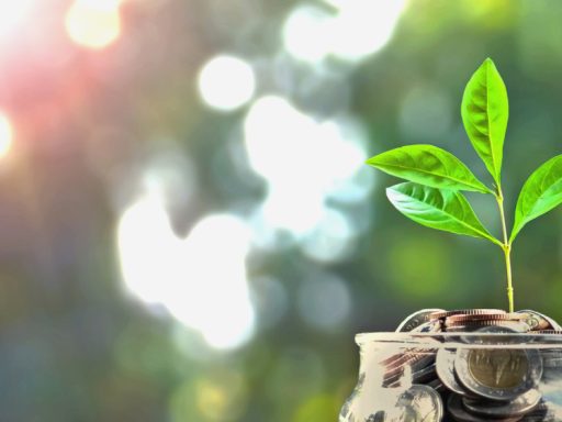 save money online