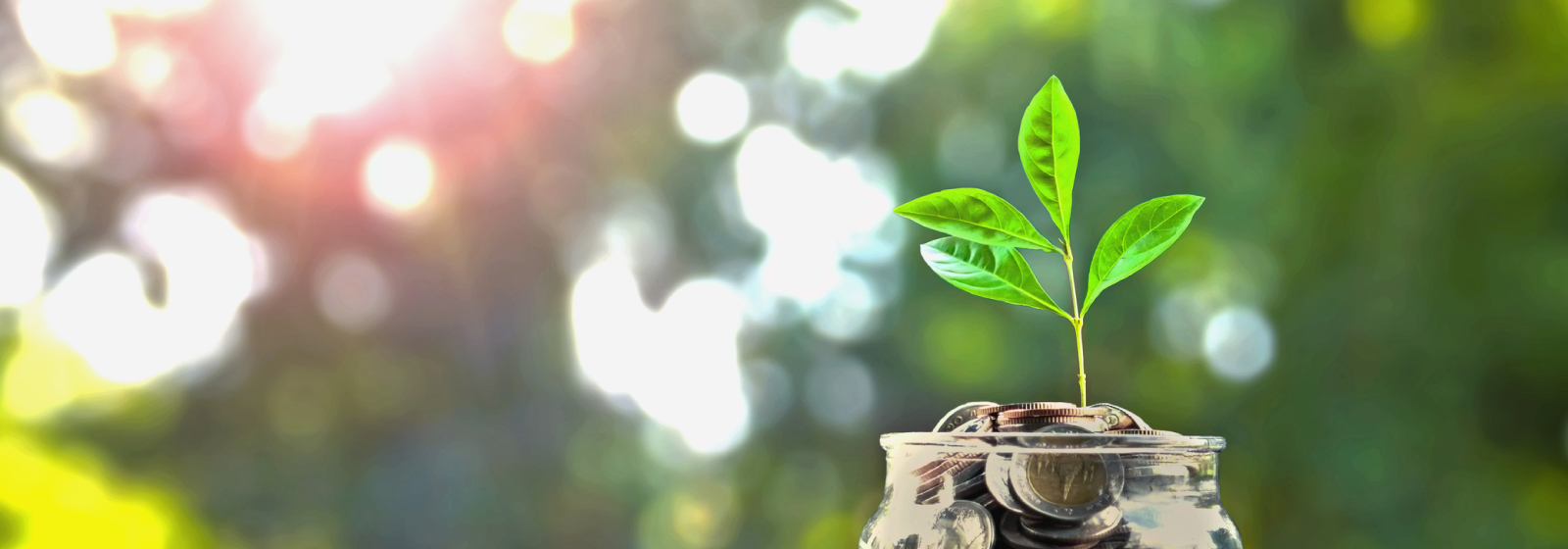 save money online