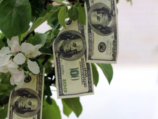 save money
